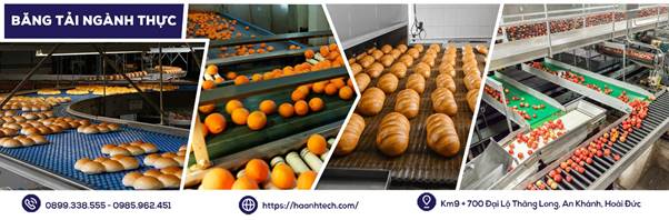 Địa Chỉ Công Ty Tư Vấn, Thiết Kế, Sản Xuất Băng Tải Uy Tín Tại Hà Nội