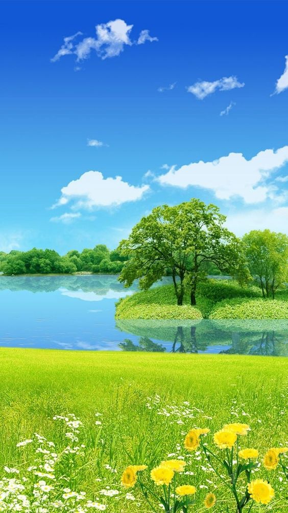 Hình nền thiên nhiên 4k, bãi có dưới ánh năng ban mai