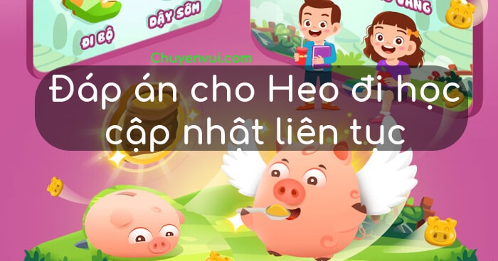 Đáp án heo đất Momo cho Heo hôm nay